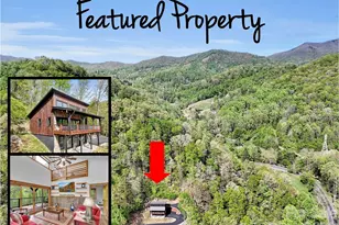 455 Chinquapin Rd, Canton, NC 28716 - Photo 3