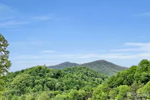 3575 Dellwood Rd, Waynesville, NC 28786 - Photo 43