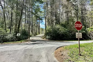 8855 Bugger Hollow Rd, Newland, NC 28657 - Photo 35