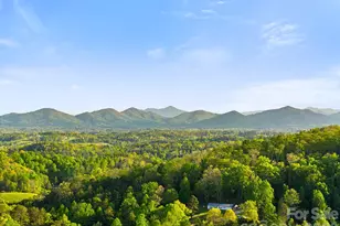 40 Firefly Ridge Trail, Alexander, NC 28701 - Photo 43