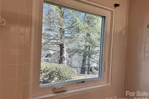 111 Burning Tree Ln, Flat Rock, NC 28731 - Photo 25