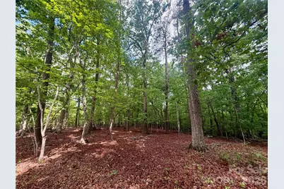 232 Chase Drive, Forest City, NC 28043 - Photo 25