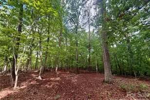 232 Chase Dr, Forest City, NC 28043 - Photo 25