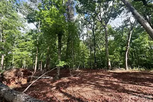 232 Chase Dr, Forest City, NC 28043 - Photo 23
