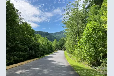 0 Grey Rock Parkway #250, Lake Lure, NC 28746 - Photo 3