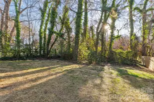Lot 1 W 11th St, Salisbury, NC 28144 - Photo 33