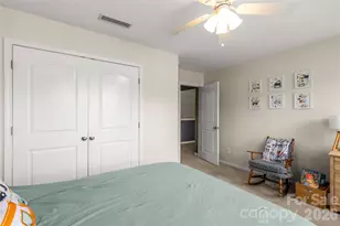 493 Dutch White Drive, Clover, SC 29710 - Photo 23