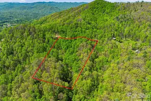 3167 Lump Town Rd, Marshall, NC 28753 - Photo 27