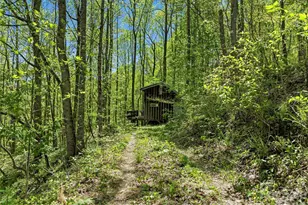 3167 Lump Town Rd, Marshall, NC 28753 - Photo 3