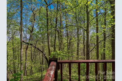 3167 Lumptown Road, Marshall, NC 28753 - Photo 19