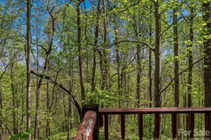 3167 Lump Town Rd, Marshall, NC 28753 - Photo 19