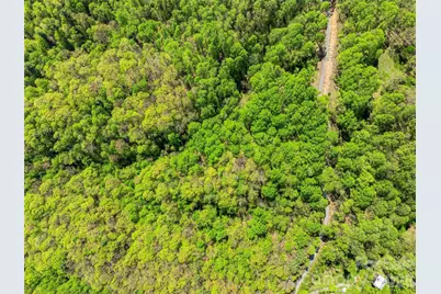 3167 Lumptown Road, Marshall, NC 28753 - Photo 35