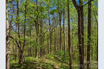3167 Lumptown Road, Marshall, NC 28753 - Photo 37