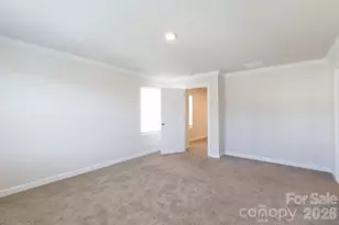 527 Palmarosa St, Fort Mill, SC 29715 - Photo 13
