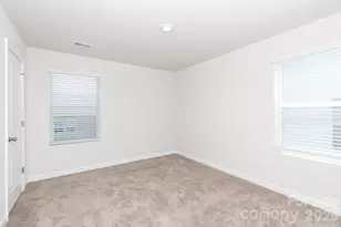527 Palmarosa St, Fort Mill, SC 29715 - Photo 19
