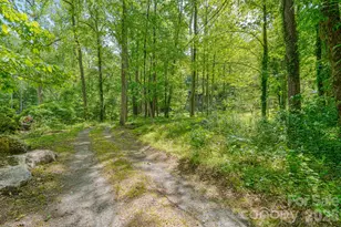 123 Little Rock Wy, Mill Spring, NC 28756 - Photo 9