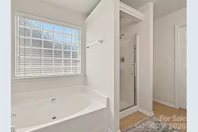 10724 Trolley Run Drive, Cornelius, NC 28031 - Photo 25
