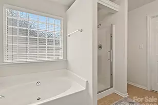 10724 Trolley Run Dr, Cornelius, NC 28031 - Photo 25