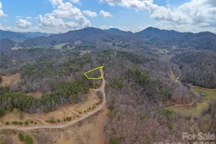 454 Dream Valley Dr, Clyde, NC 28721 - Photo 3
