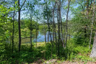 28 Falling Star Ct, Fletcher, NC 28732 - Photo 27