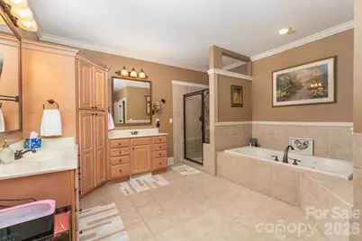 172 Sunny Ridge Road, Hendersonville, NC 28739 - Photo 19