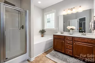 9 Partridge Berry Ln, Weaverville, NC 28787 - Photo 19