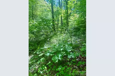 Tbd Highway 107 None N #Lot 1, Glenville, NC 28736 - Photo 3