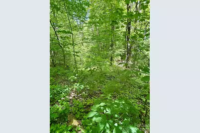 Tbd Highway 107 None N #Lot 1, Glenville, NC 28736 - Photo 11