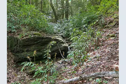 554 Pisgah Forest Drive, Pisgah Forest, NC 28768 - Photo 47