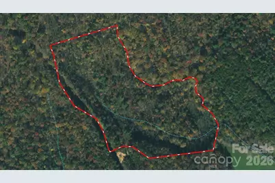 3024 Pearson Mountain Road, Boomer, NC 28606 - Photo 9