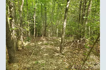 3024 Pearson Mountain Road, Boomer, NC 28606 - Photo 19