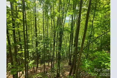 3024 Pearson Mountain Road, Boomer, NC 28606 - Photo 35