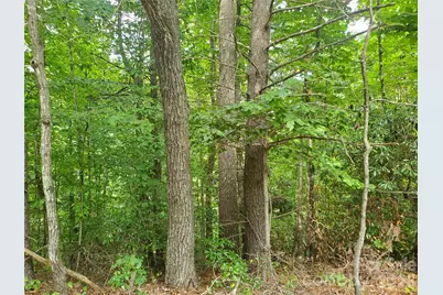 3024 Pearson Mountain Road, Boomer, NC 28606 - Photo 23