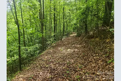 3024 Pearson Mountain Road, Boomer, NC 28606 - Photo 3