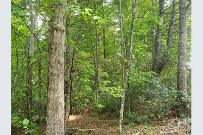 3024 Pearson Mountain Road, Boomer, NC 28606 - Photo 29