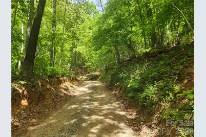 3024 Pearson Mountain Road, Boomer, NC 28606 - Photo 31