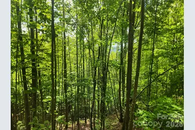 3024 Pearson Mountain Road, Boomer, NC 28606 - Photo 33