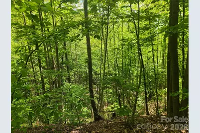 3024 Pearson Mountain Road, Boomer, NC 28606 - Photo 37