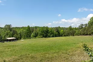7008 Peyronel St, Connelly Springs, NC 28612 - Photo 39