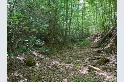 0 Russell Gap Road, Taylorsville, NC 28654 - Photo 5