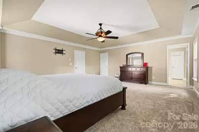 230 Lylic Woods Drive, Fort Mill, SC 29715 - Photo 19