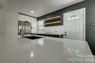 713 Norris Ave, Charlotte, NC 28206 - Photo 11