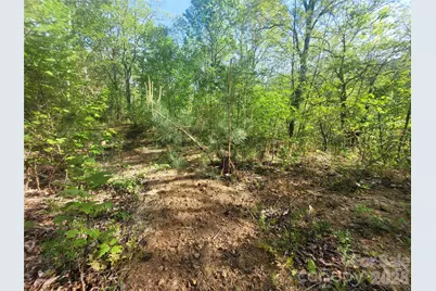 99999 Wolverine Court #53, Waynesville, NC 28785 - Photo 11