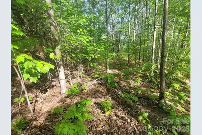 99999 Wolverine Court #53, Waynesville, NC 28785 - Photo 5