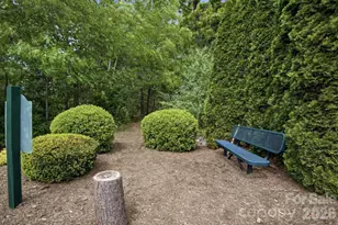 57 Outlook Cir, Swannanoa, NC 28778 - Photo 33