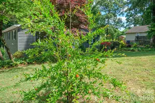 2078 Rock Springs Cir, Denver, NC 28037 - Photo 41