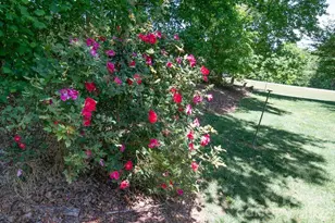 1802 Hopewell Rd, Morganton, NC 28655 - Photo 27
