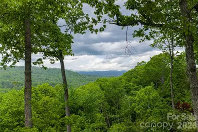 12 Spring Ridge Lane, Hendersonville, NC 28739 - Photo 17