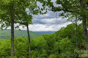12 Spring Ridge Ln, Hendersonville, NC 28739 - Photo 17