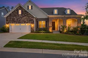 900 Raffaelo View, Mount Holly, NC 28120 - Photo 9